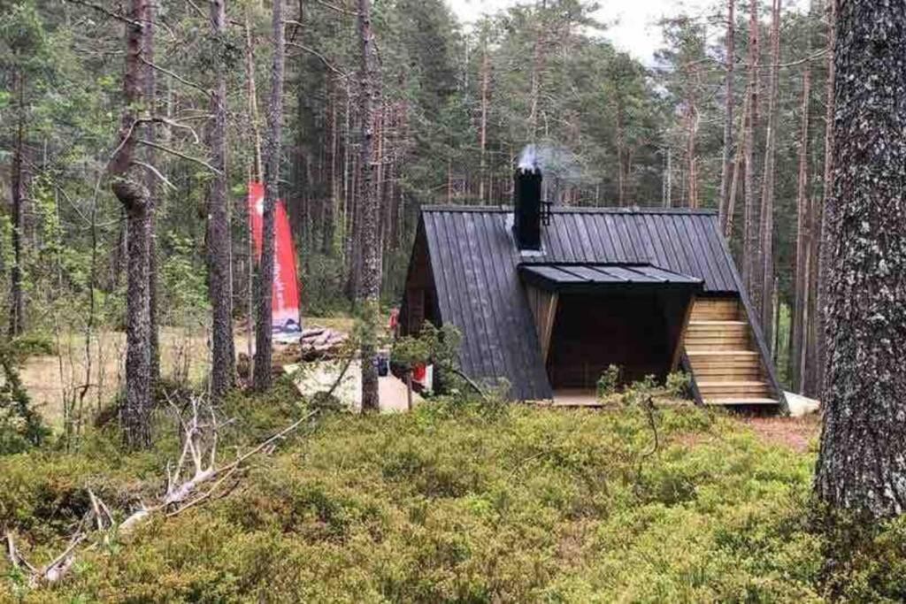 Hytte I Stryn Med Elbil Lader エクステリア 写真