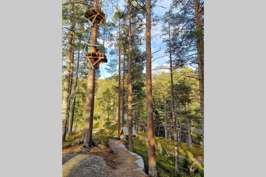 Hytte I Stryn Med Elbil Lader エクステリア 写真