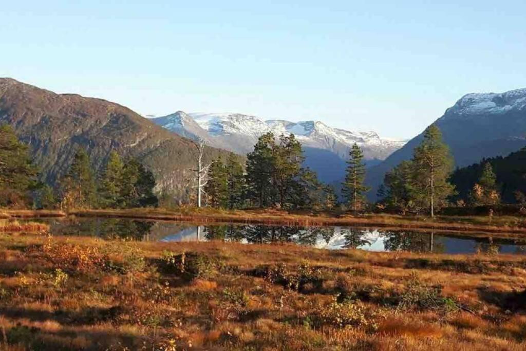Hytte I Stryn Med Elbil Lader エクステリア 写真
