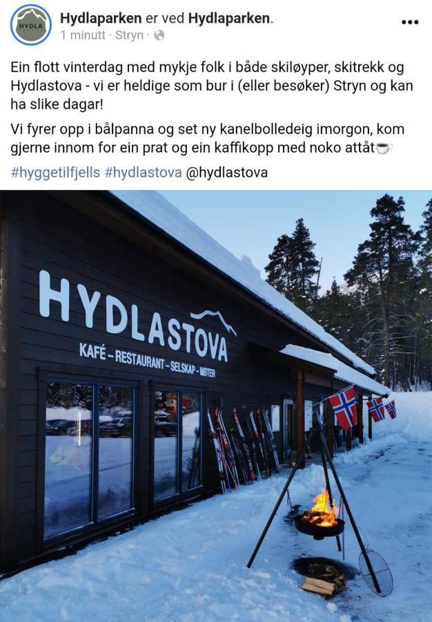 Hytte I Stryn Med Elbil Lader エクステリア 写真