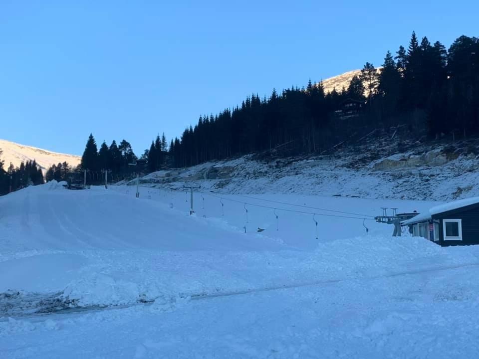 Hytte I Stryn Med Elbil Lader エクステリア 写真